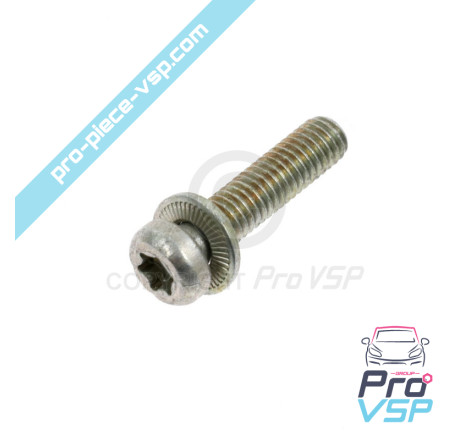 Torx screw