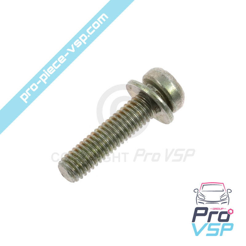Torx screw