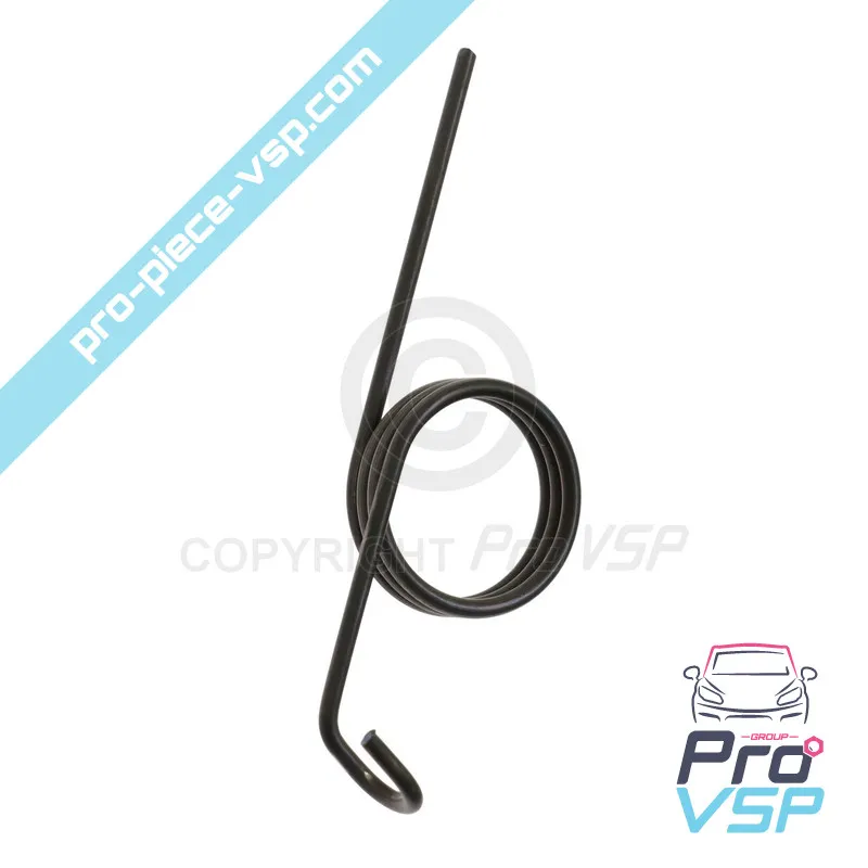 Pedal spring
