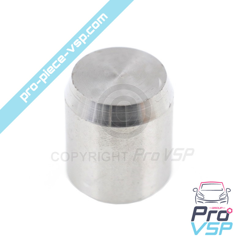 Front brake caliper piston