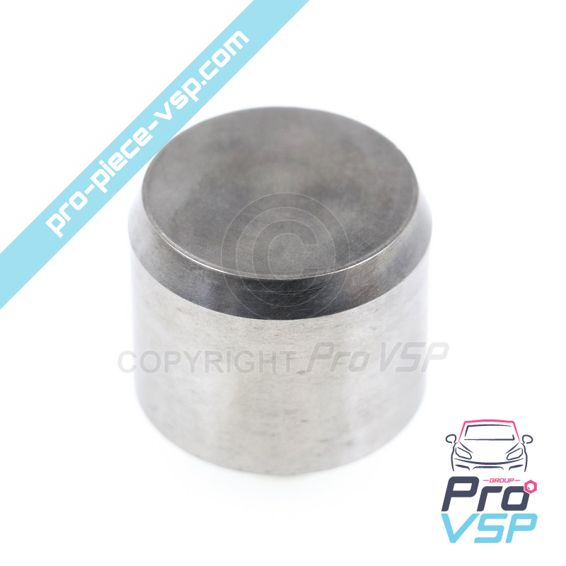 Front brake caliper piston
