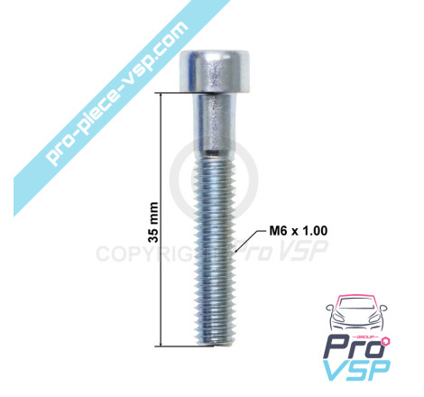 Screw BTR M6x35