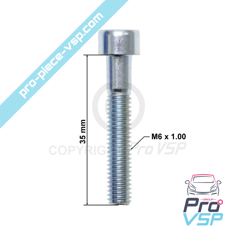 Screw BTR M6x35