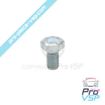 M6x10 hexagonal head screw