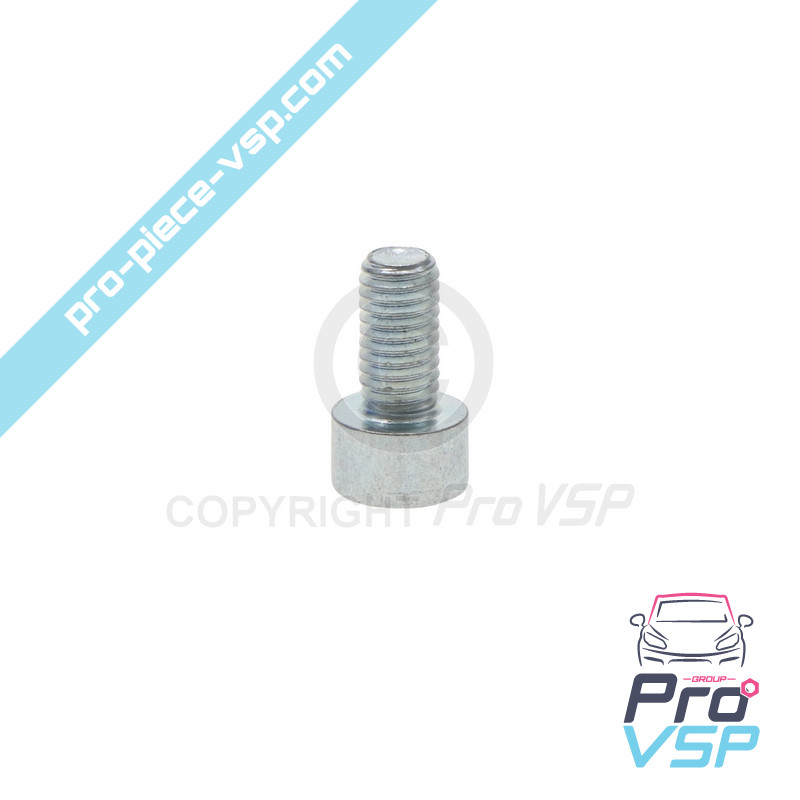 BTR M5x10 screw
