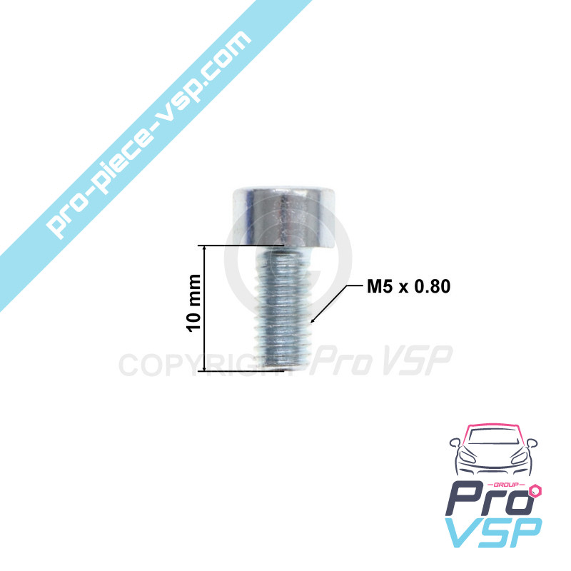 BTR M5x10 screw