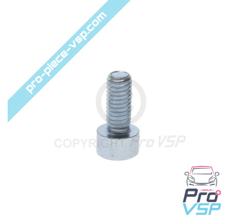 BTR M6x14 screw