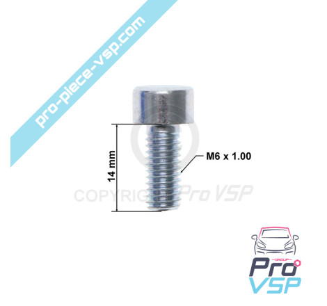 BTR M6x14 screw