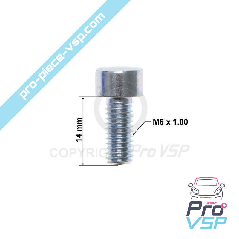 BTR M6x14 screw