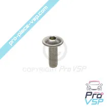 Tornillo de cabeza curvada M4x12