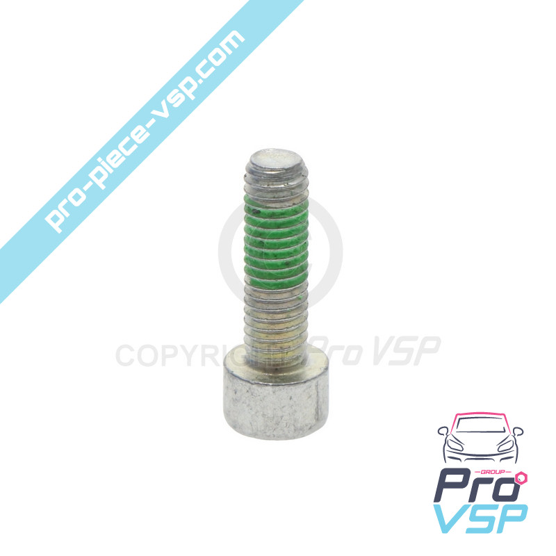 BTR M6x20 screw