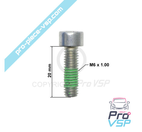 BTR M6x20 screw