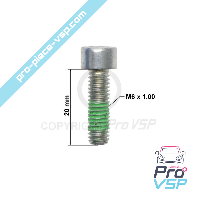 BTR M6x20 screw