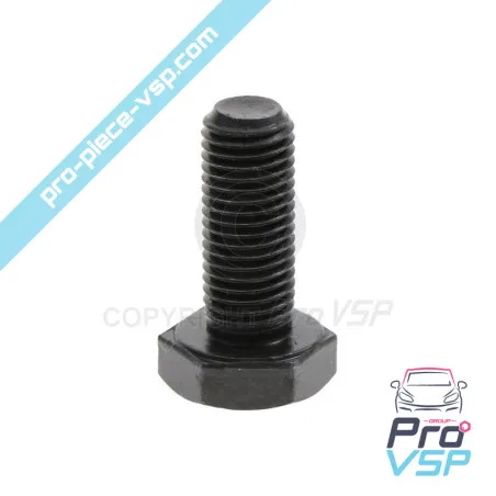 Tornillo hexagonal Hexxx25 M10x25