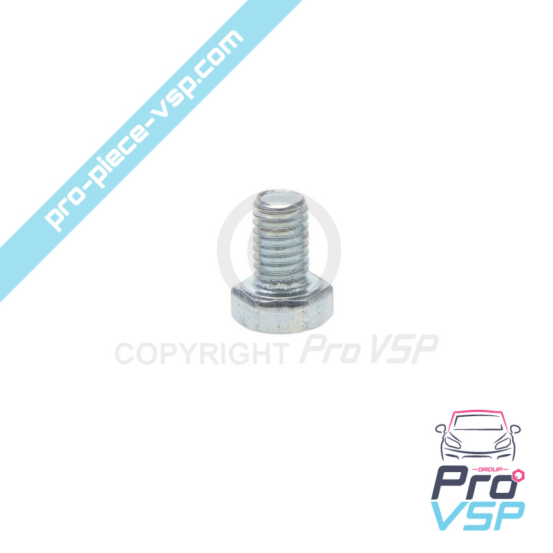 Accelerator lever screw