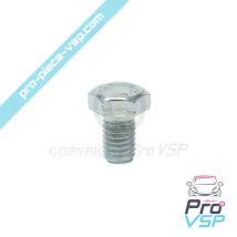 Tornillo de cabeza hexagonal M8x12