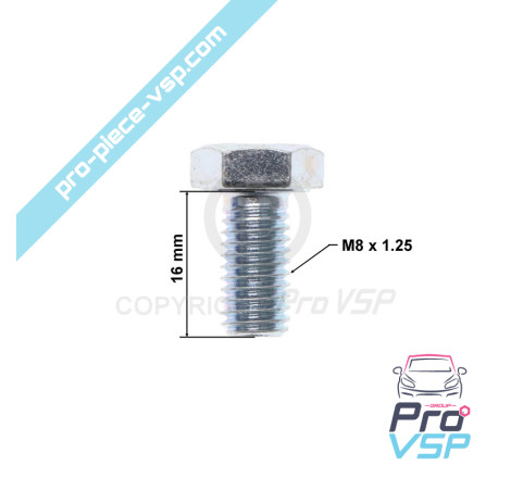 Speed box drain plug and fill