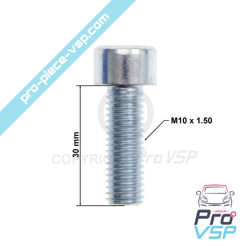 Vis de berceau moteur