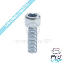 BTR M10x30 screw