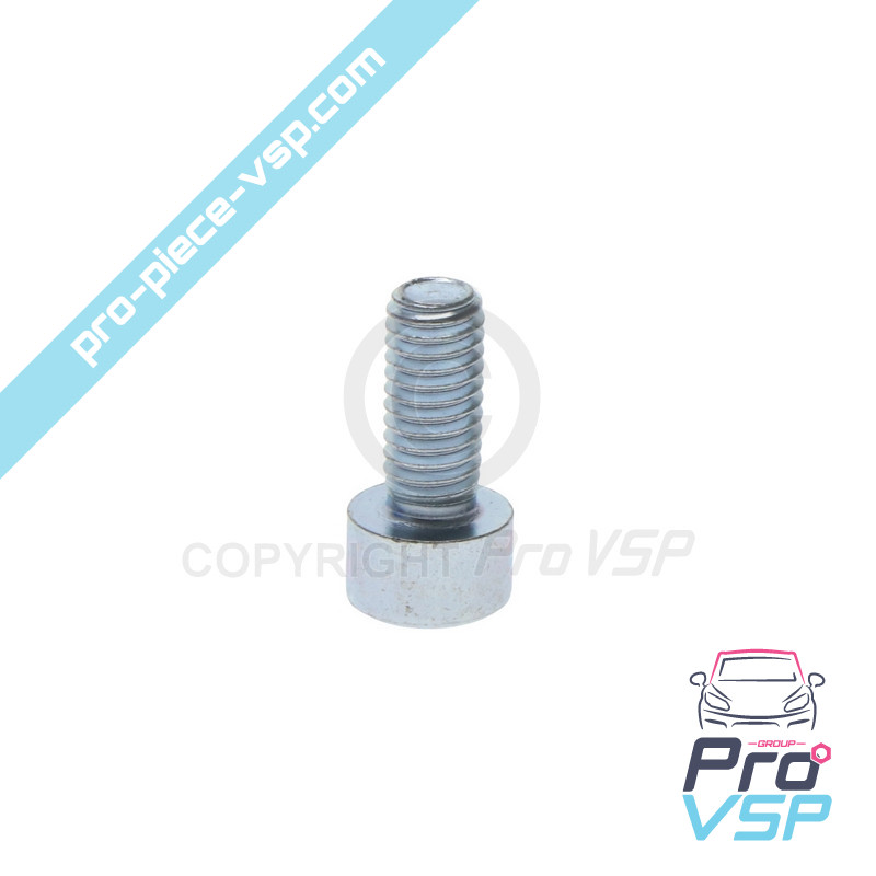Screw lid