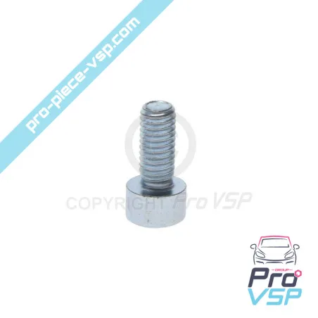 Tornillo de tapa de redondeo