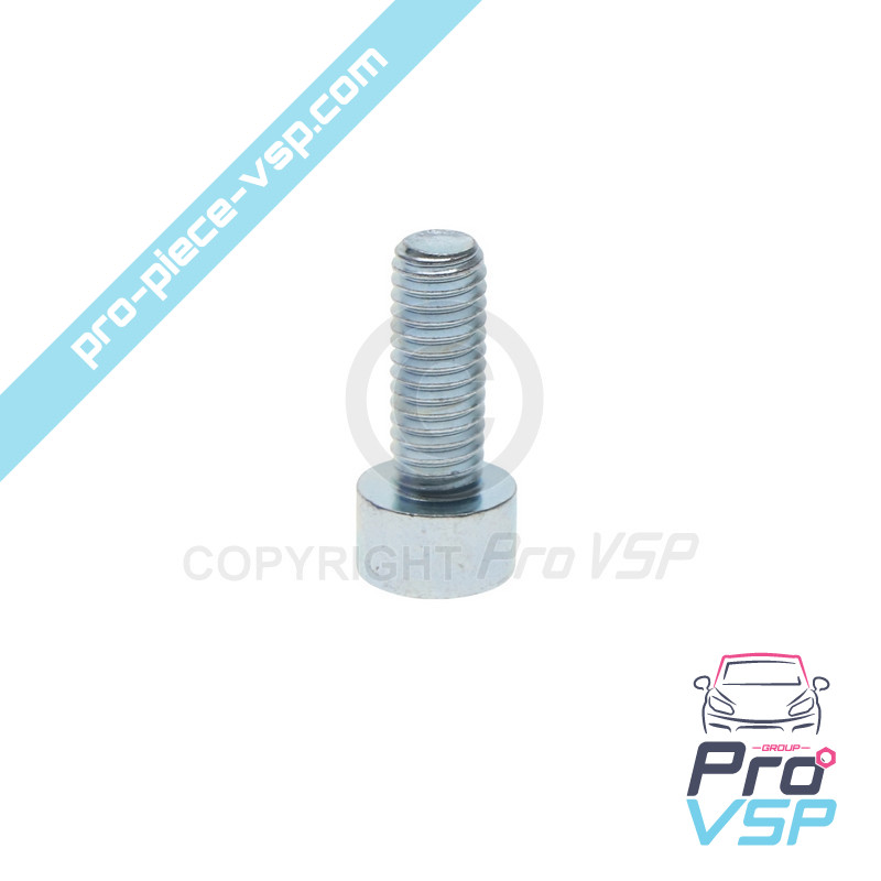 Caps tree bearing screw