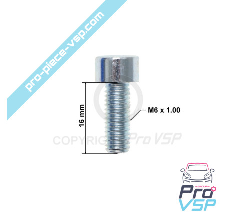 Caps tree bearing screw