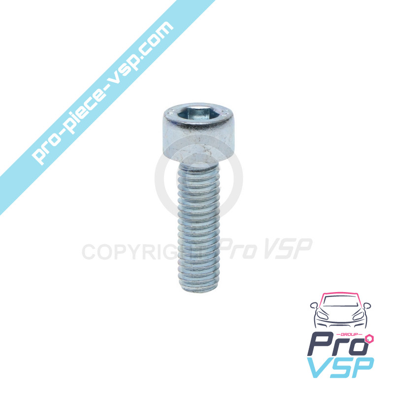 Screw M6 x 20