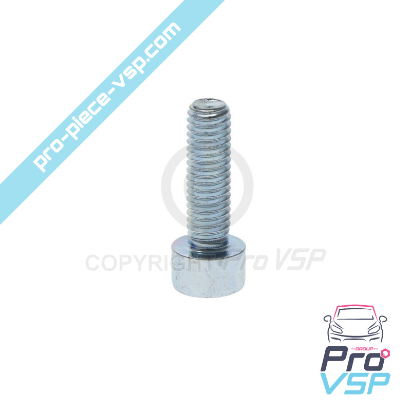 Screw M6 x 20