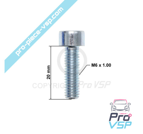 M6 x 20