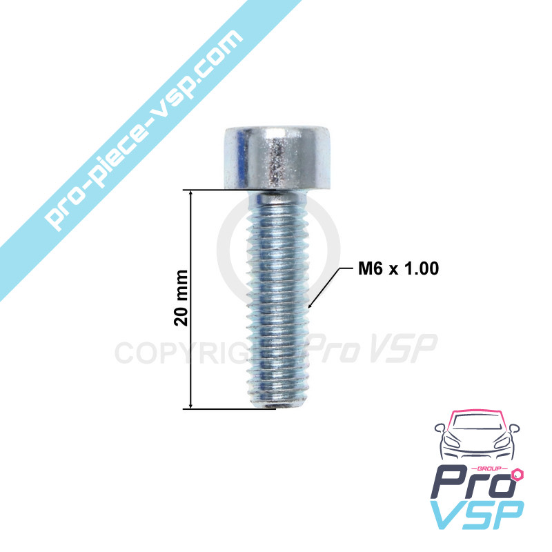 Vis M6 x 20