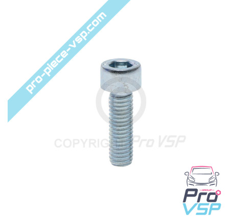 BTR M6x20 screw
