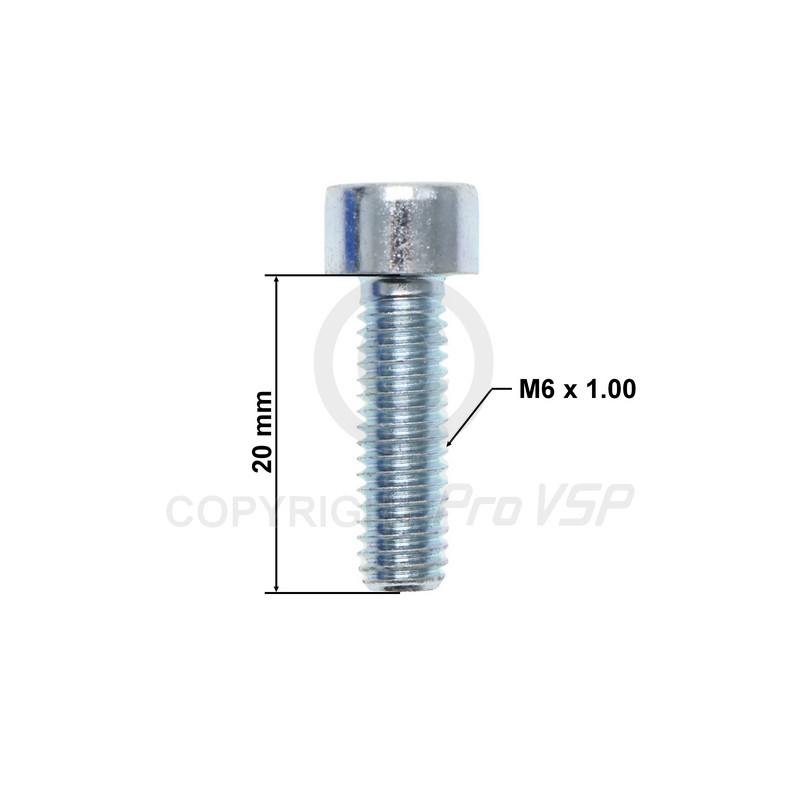 Btr m6x20 skruv