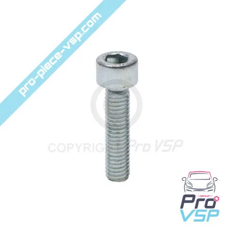 Tornillos del collar del filtro de aire