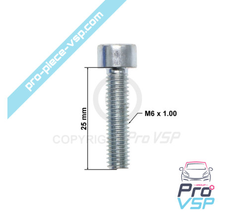 Air Filter Necklace Screws