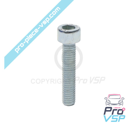 Connecting screw Alternator pulley