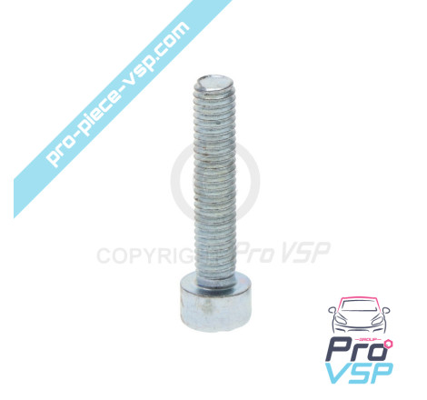Connecting screw Alternator pulley