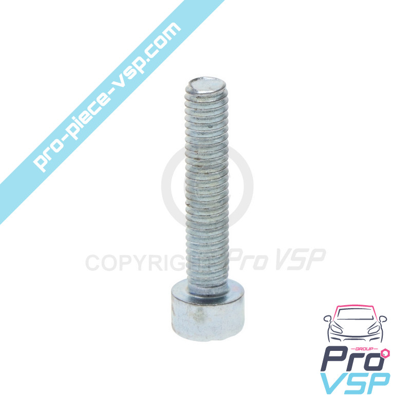 Connecting screw Alternator pulley