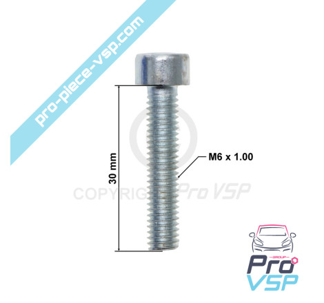 Connecting screw Alternator pulley