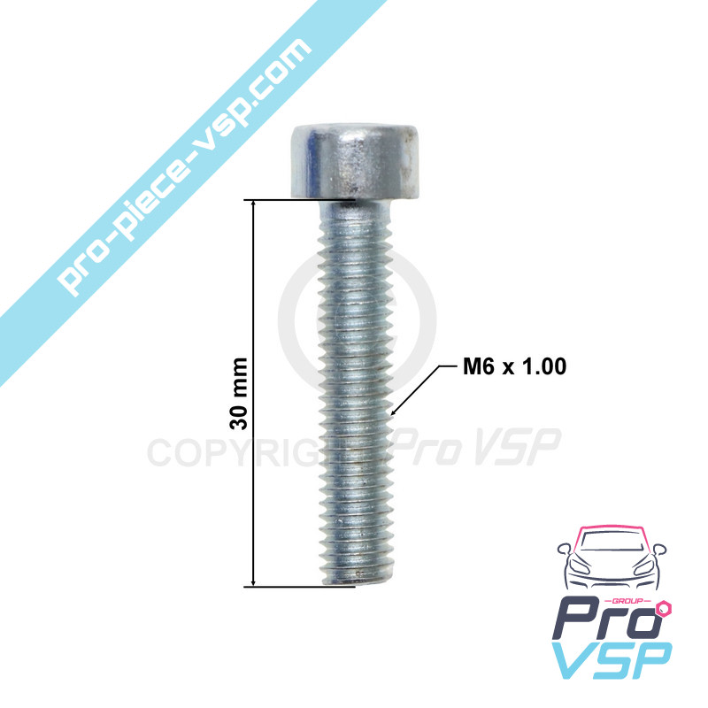 Connecting screw Alternator pulley