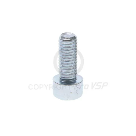 Oil pump fixing screw