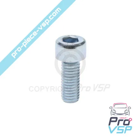 Tornillo de tapa del termostato