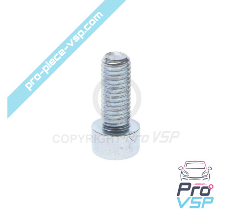 Thermostat cover screw