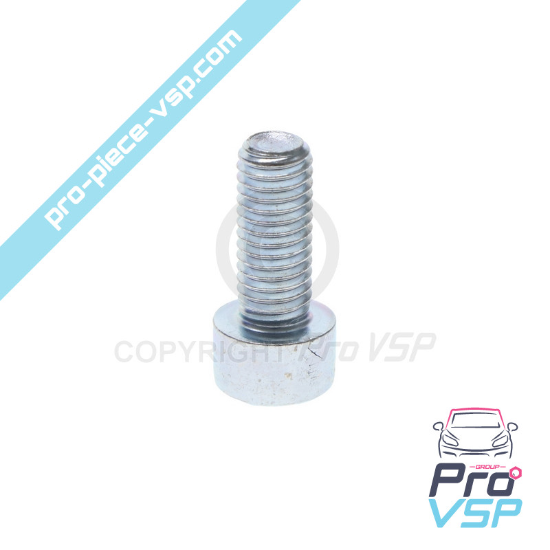 Thermostat cover screw