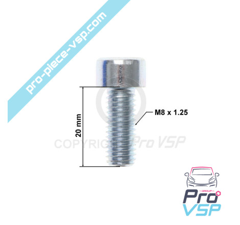 Thermostat cover screw