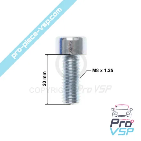 Tornillo de tapa del termostato