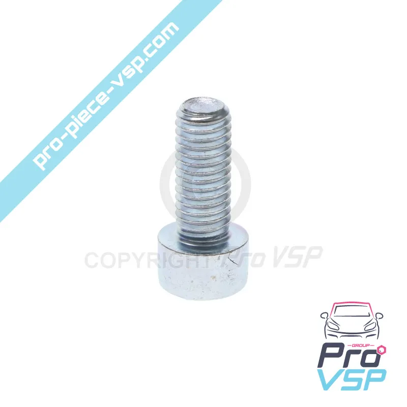 Tornillo BTR M8X20