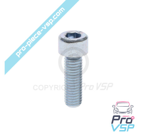 BTR M8x25 screw