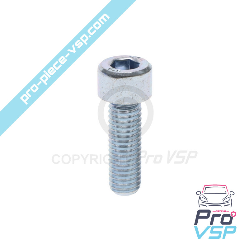 BTR M8x25 screw