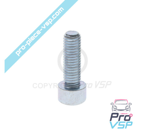 BTR M8x25 screw